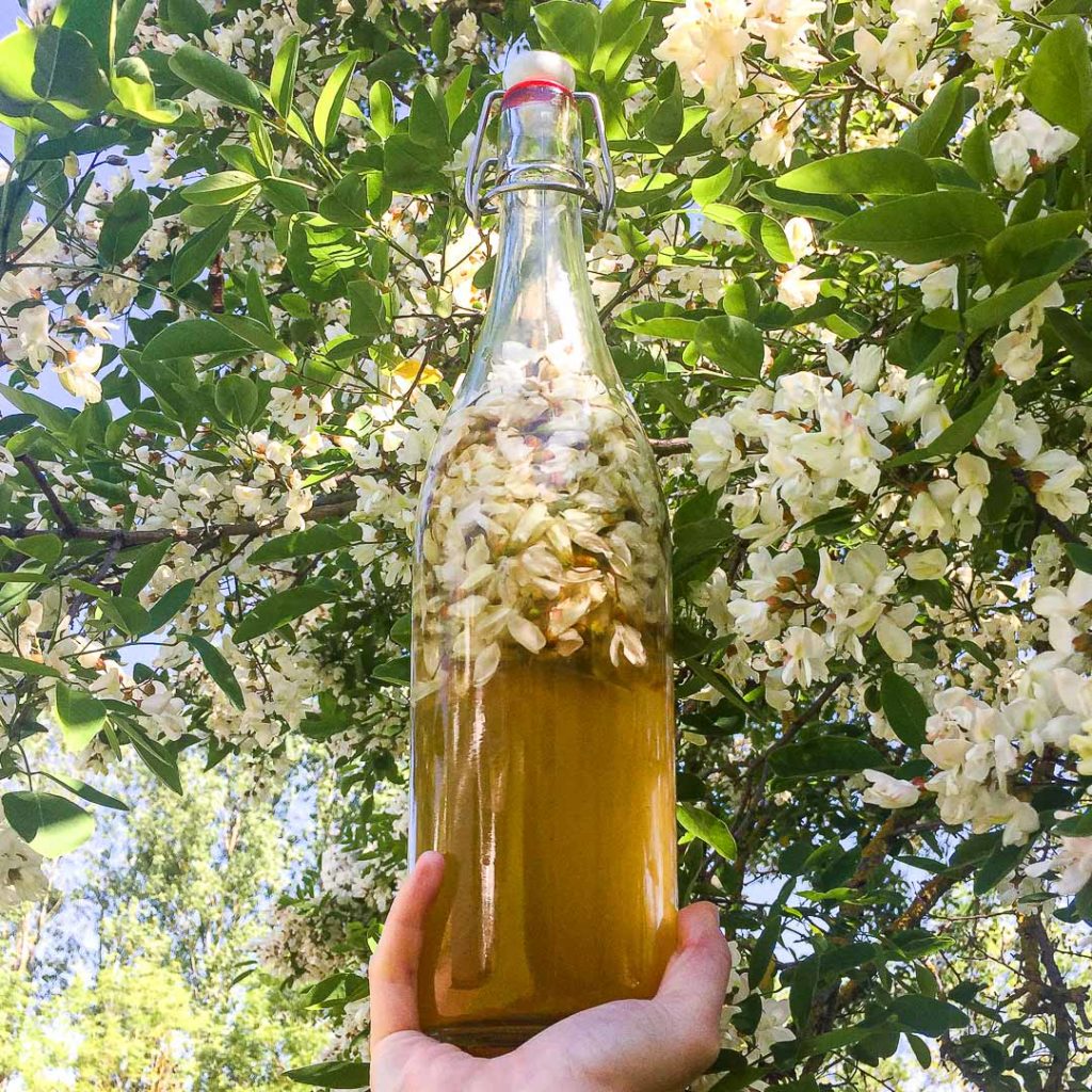 Bouteille avec acacia